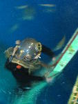 IMG_3456 IMG_3456