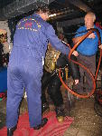 IMG_3458 IMG_3458