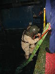 IMG_3487 IMG_3487