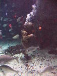 IMG_3488 IMG_3488