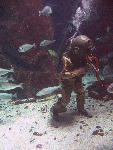 IMG_3489 IMG_3489