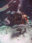 IMG_3490 IMG_3490