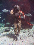 IMG_3494 IMG_3494