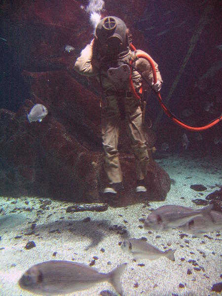 IMG_3495