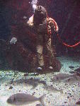 IMG_3495 IMG_3495