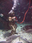 IMG_3497 IMG_3497