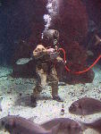 IMG_3498 IMG_3498