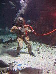 IMG_3499 IMG_3499