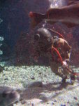 IMG_3502 IMG_3502