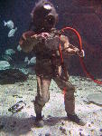 IMG_3503 IMG_3503