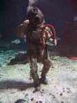 IMG_3504 IMG_3504