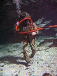IMG_3506 IMG_3506