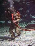 IMG_3507 IMG_3507
