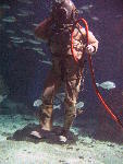 IMG_3508 IMG_3508