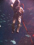 IMG_3509 IMG_3509