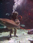 IMG_3512 IMG_3512
