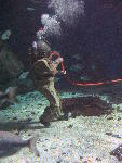 IMG_3513 IMG_3513