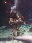 IMG_3514 IMG_3514
