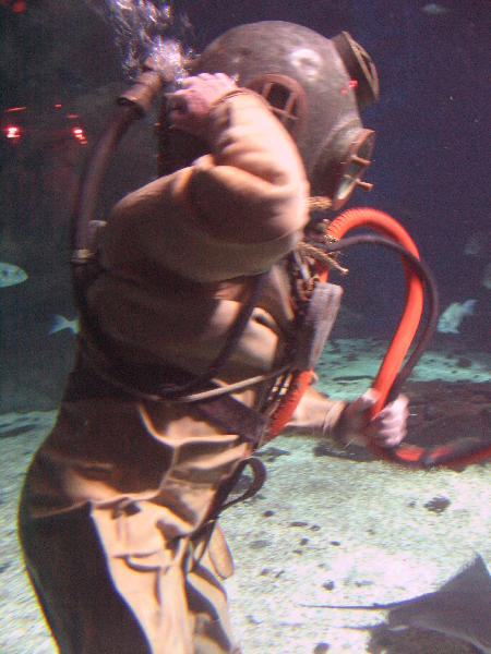 IMG_3515