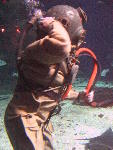 IMG_3515 IMG_3515