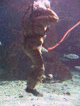 IMG_3516 IMG_3516