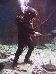 IMG_3541 IMG_3541