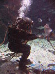 IMG_3542 IMG_3542
