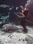 IMG_3543 IMG_3543