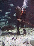 IMG_3544 IMG_3544