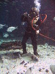 IMG_3545 IMG_3545