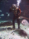 IMG_3546 IMG_3546