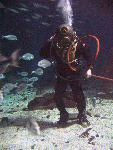IMG_3547 IMG_3547