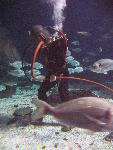 IMG_3548 IMG_3548