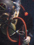 IMG_3549 IMG_3549