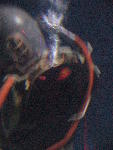 IMG_3550 IMG_3550