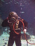 IMG_3552 IMG_3552