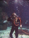 IMG_3553 IMG_3553