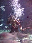 IMG_3554 IMG_3554