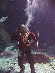 IMG_3555 IMG_3555