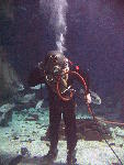 IMG_3556 IMG_3556