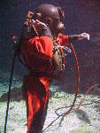 IMG_3607 IMG_3607