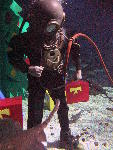 IMG_4141 IMG_4141