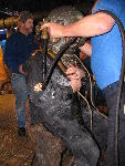 IMG_4120 IMG_4120