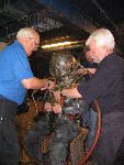 IMG_4131 IMG_4131