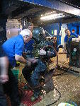 IMG_4132 IMG_4132