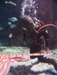 IMG_4136 IMG_4136