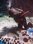IMG_4137 IMG_4137