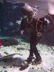 IMG_4138 IMG_4138