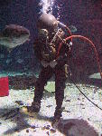 IMG_4139 IMG_4139