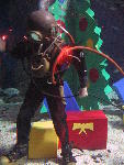 IMG_4142 IMG_4142